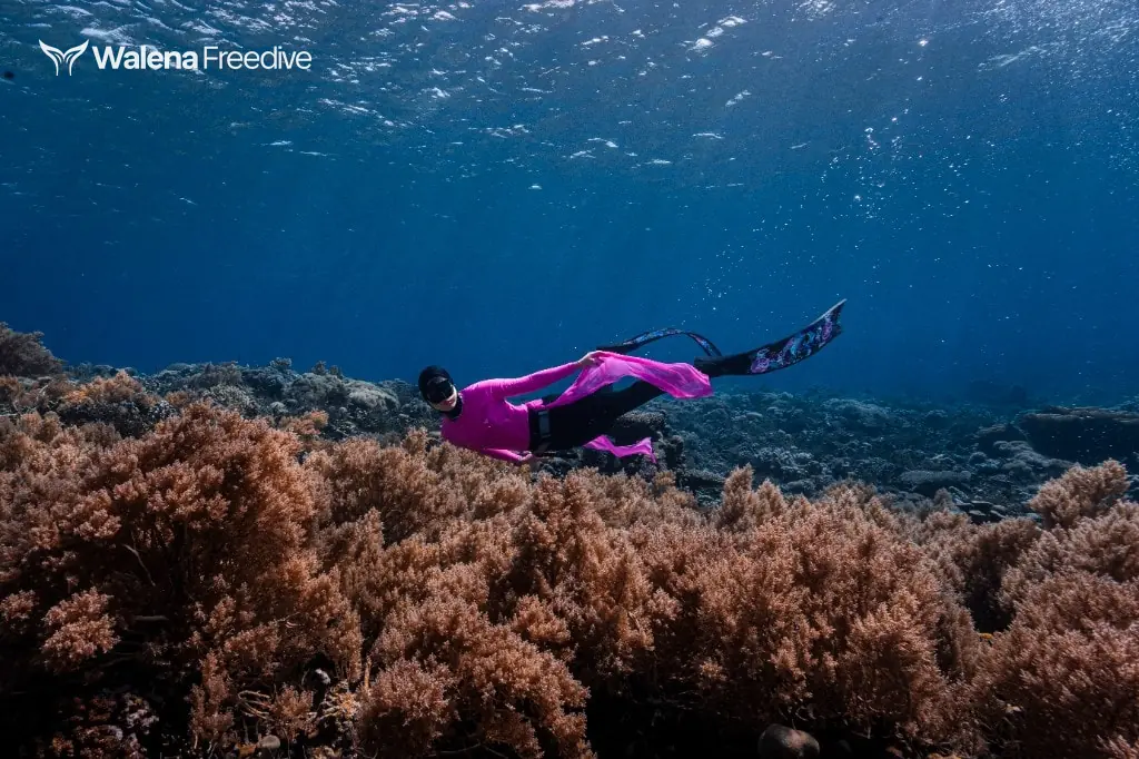 Freediver dengan kostum putih di perairan jernih, hasil sesi underwater photoshoot Walena Freedive