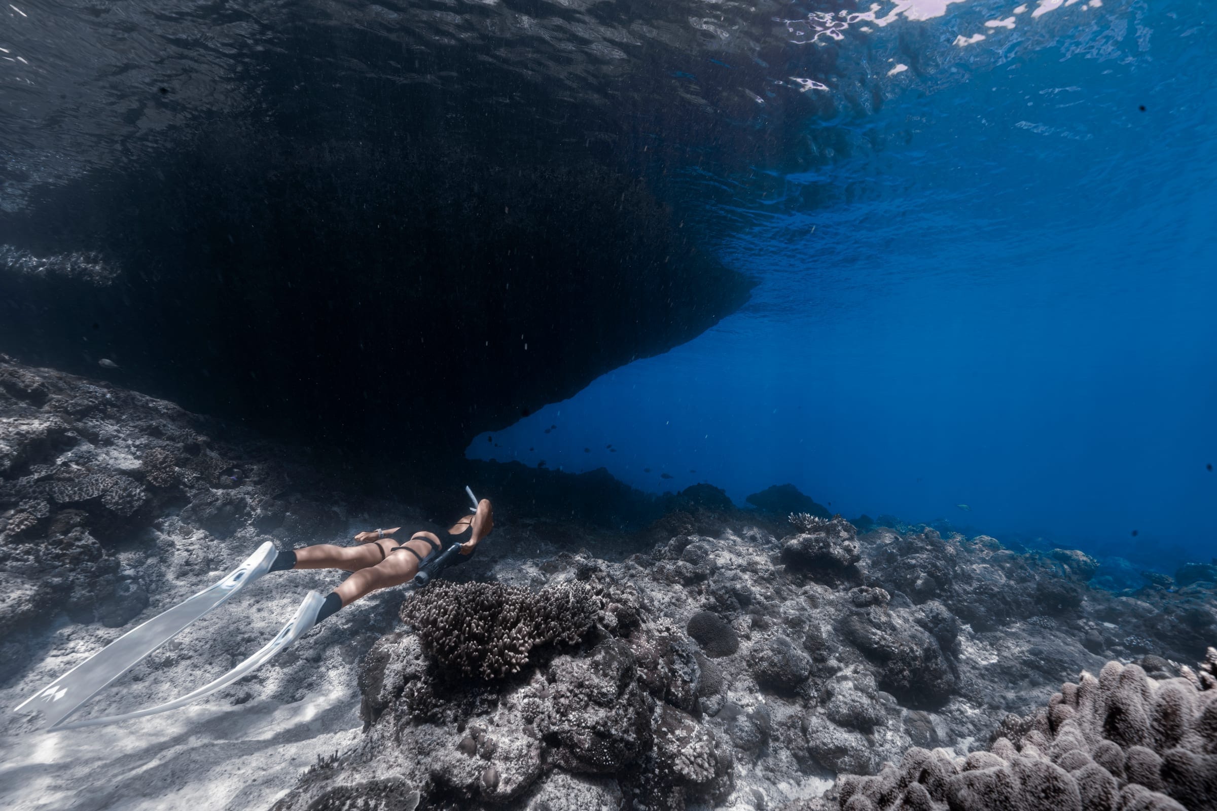 Karya terbaik Walena Freedive 4