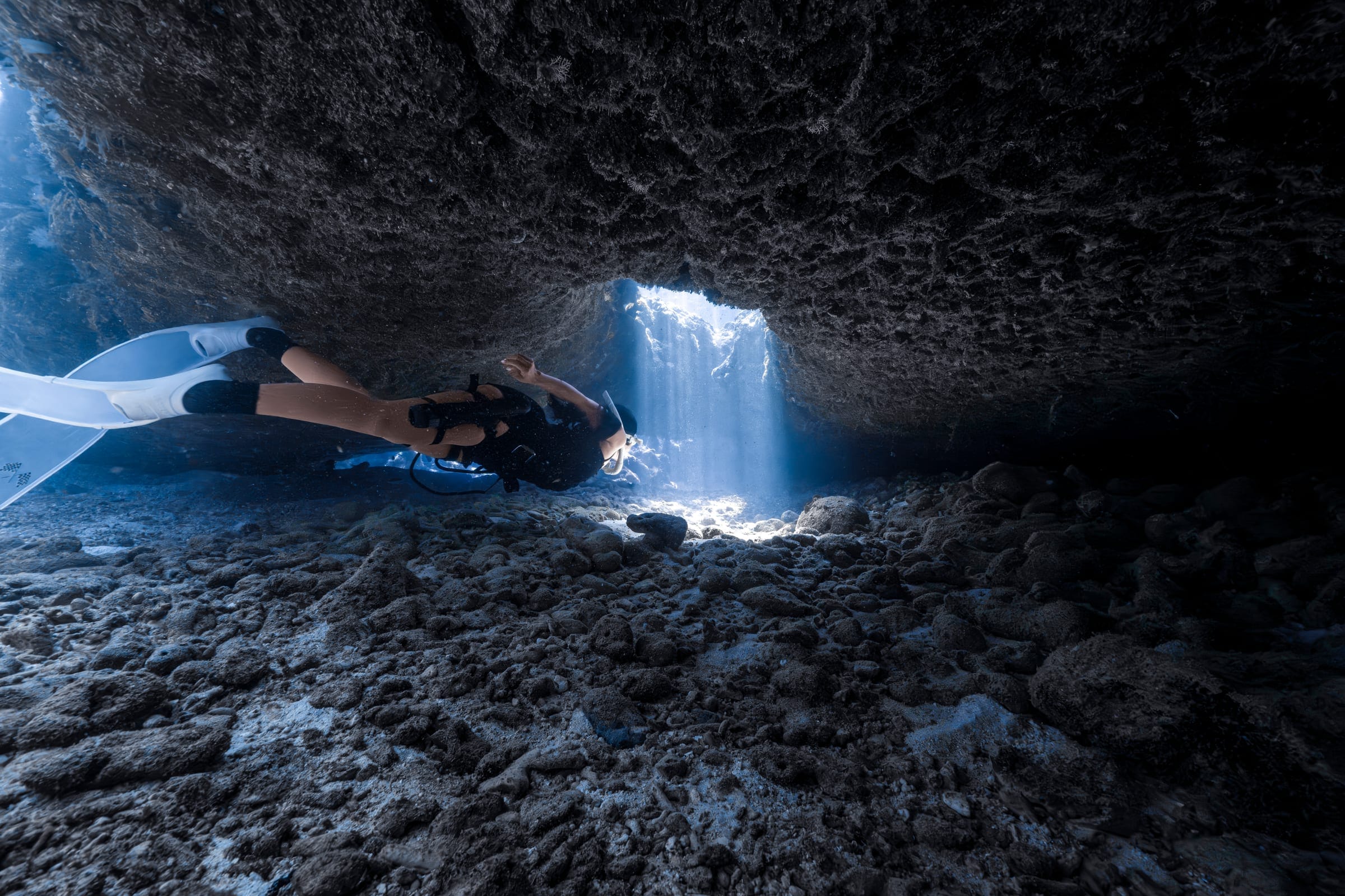 Karya terbaik Walena Freedive 6