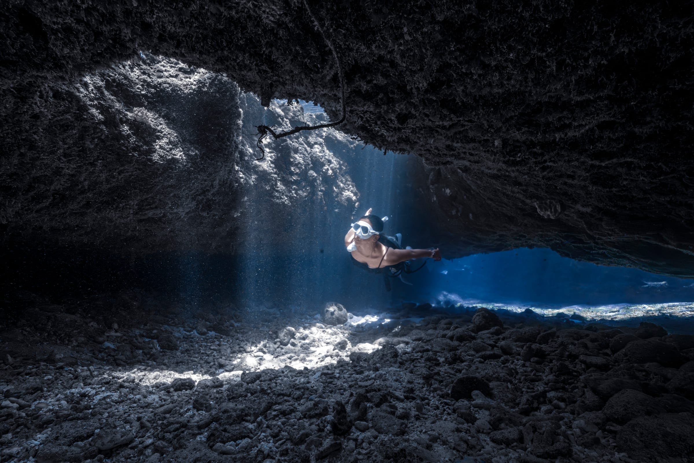 Karya terbaik Walena Freedive 7