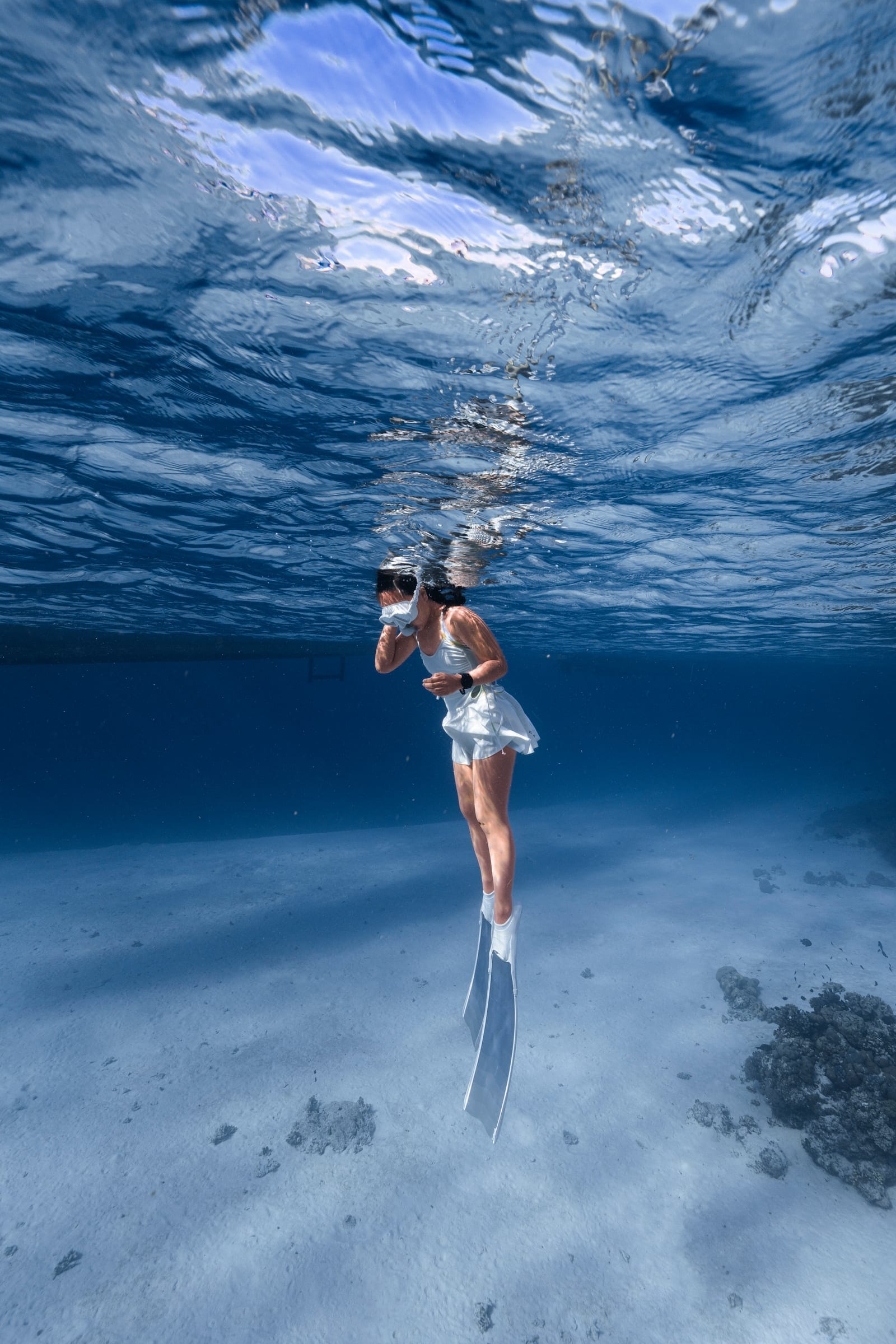 Karya terbaik Walena Freedive 13