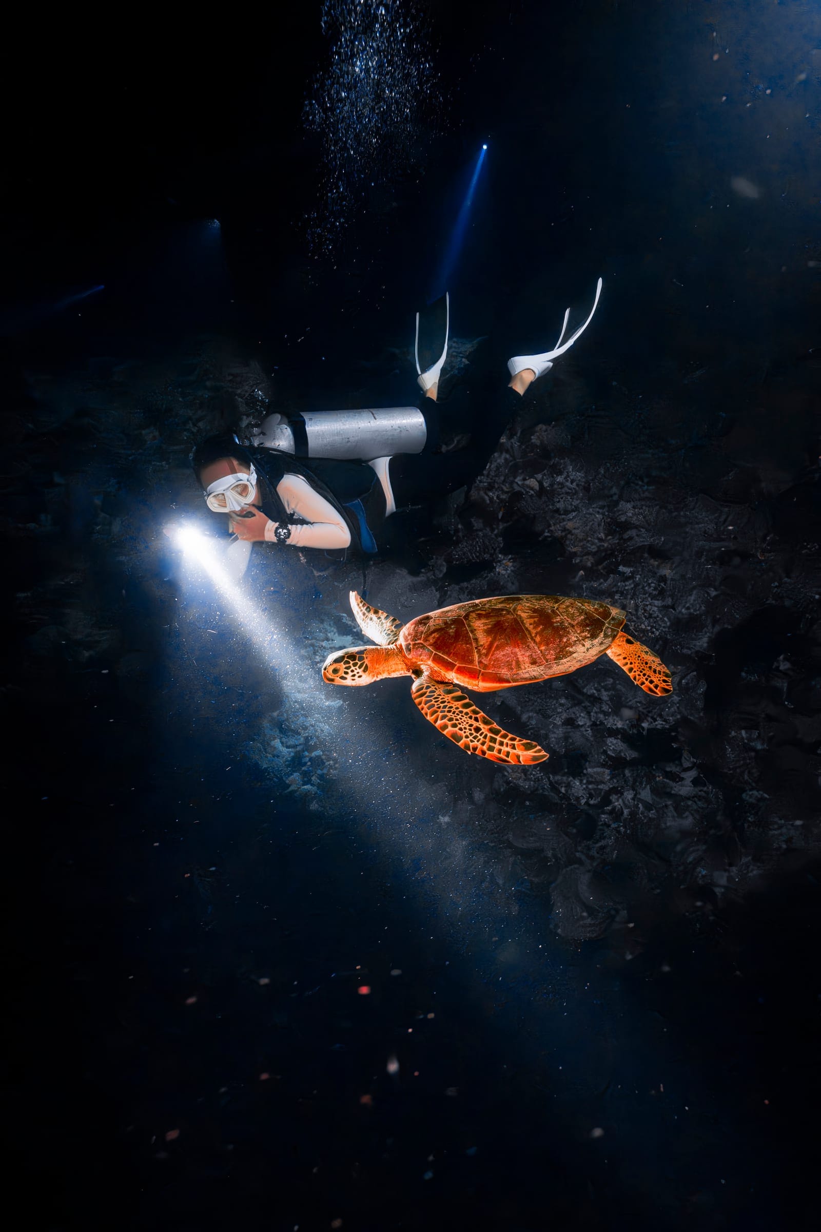 Karya terbaik Walena Freedive 15