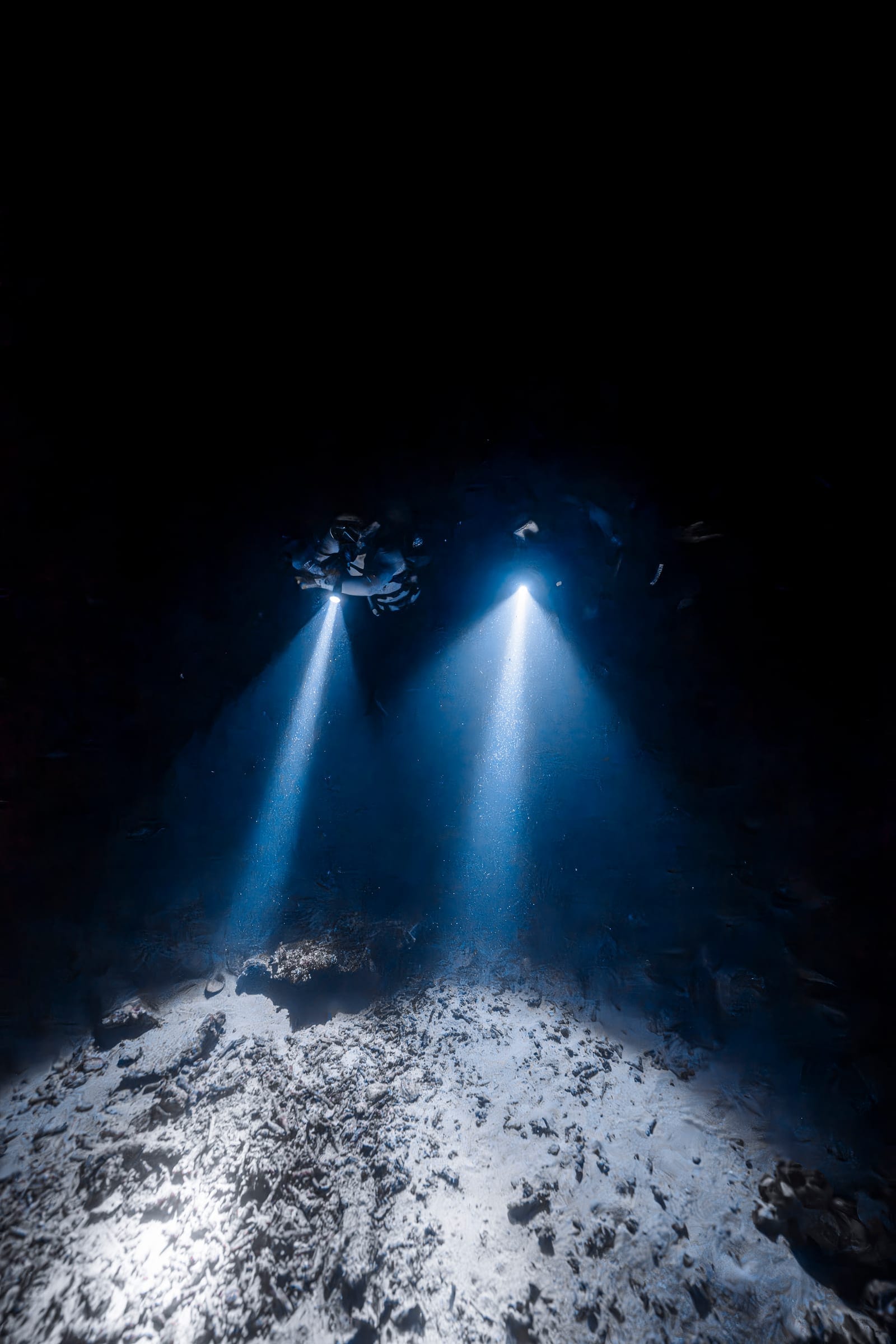 Karya terbaik Walena Freedive 16
