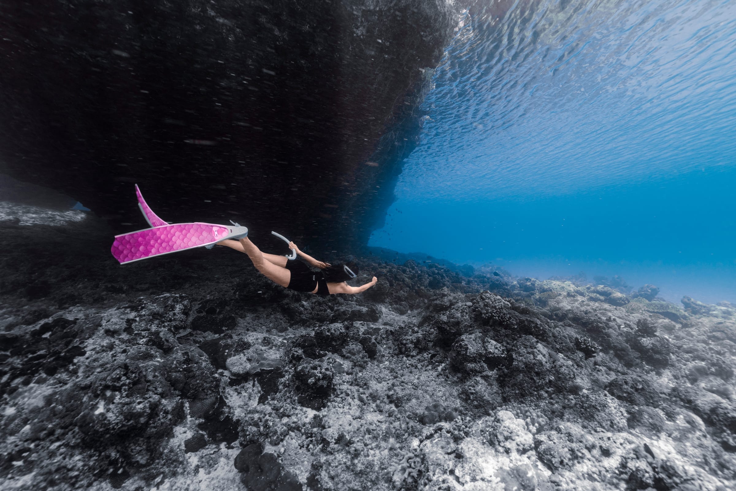 Karya terbaik Walena Freedive 20