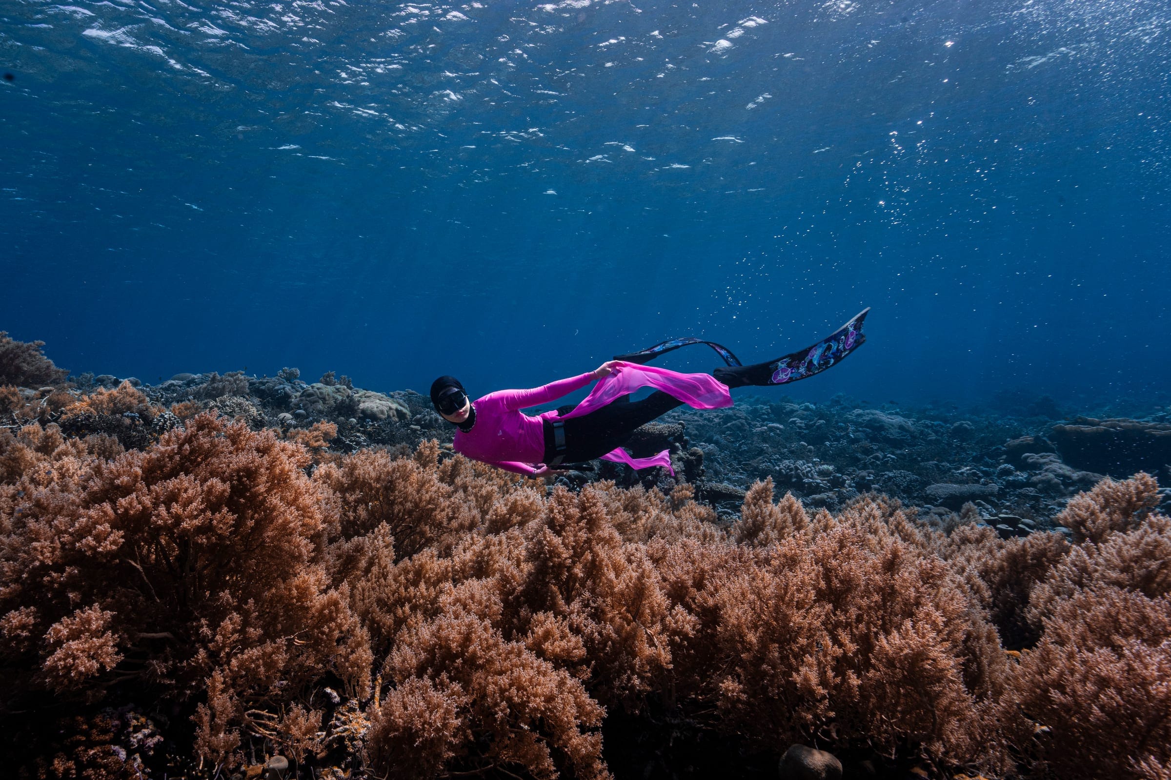 Karya terbaik Walena Freedive 24