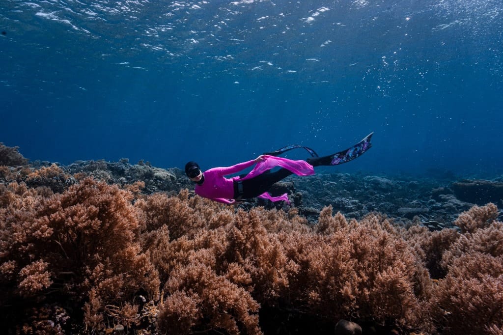 Hasil sesi underwater photoshoot Walena Freedive