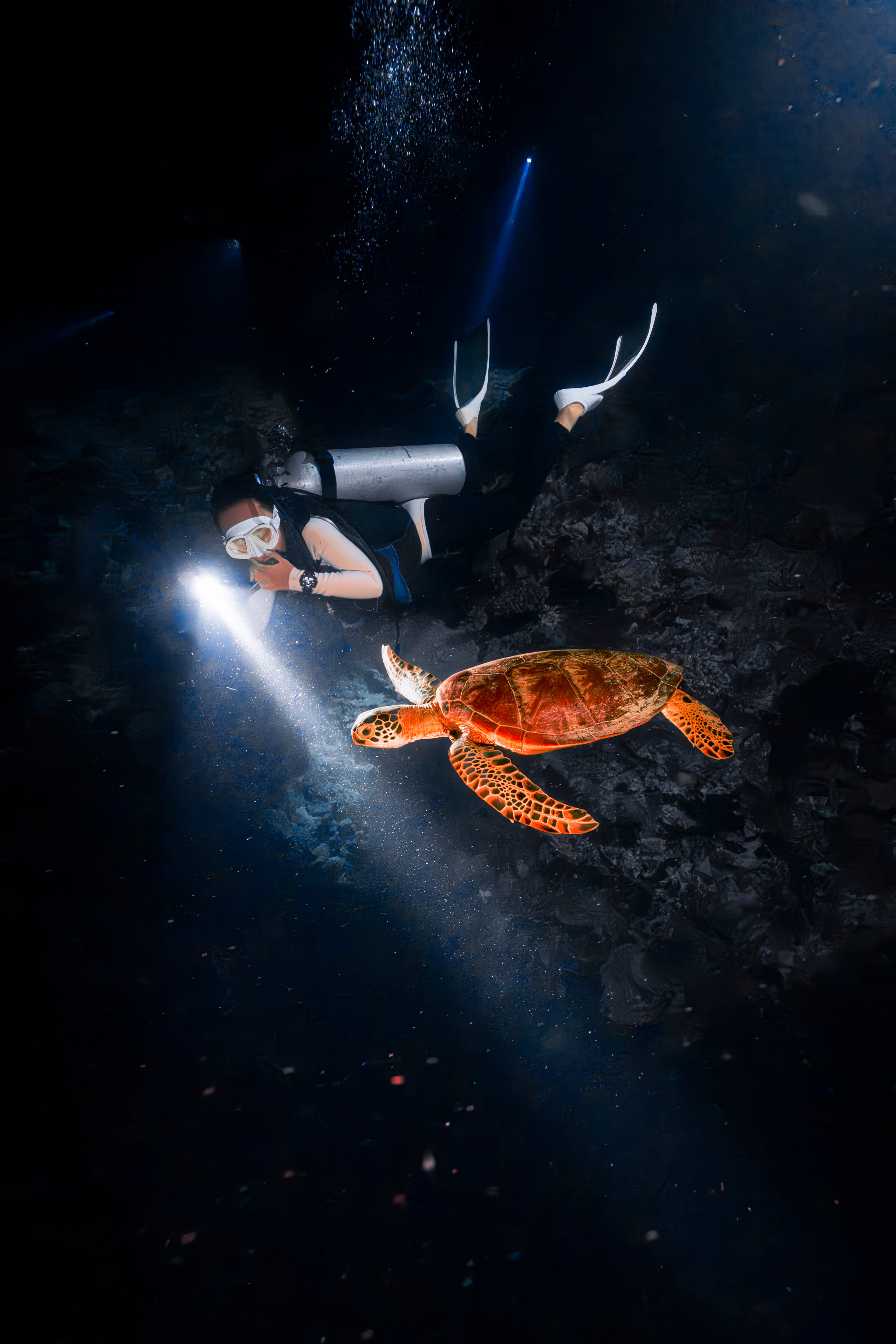 Scuba trip Walena di perairan Selayar