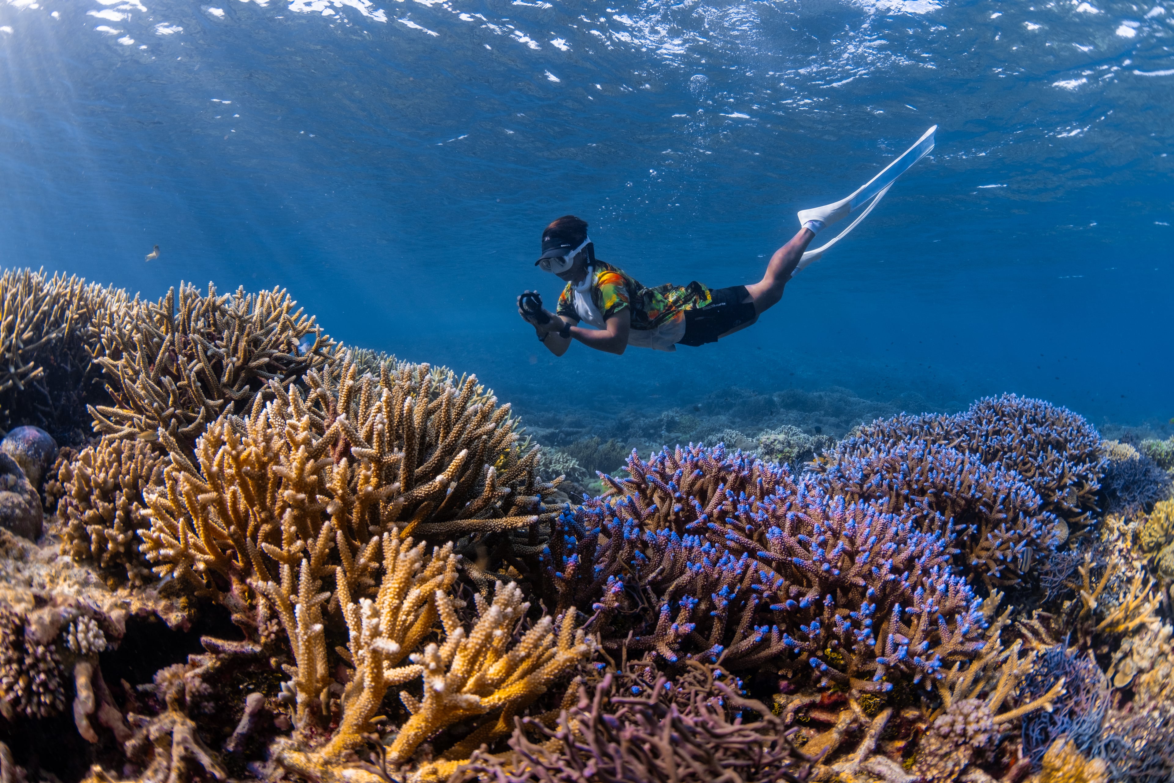 Foto profil Wafiq Salman, fotografer underwater Walena
