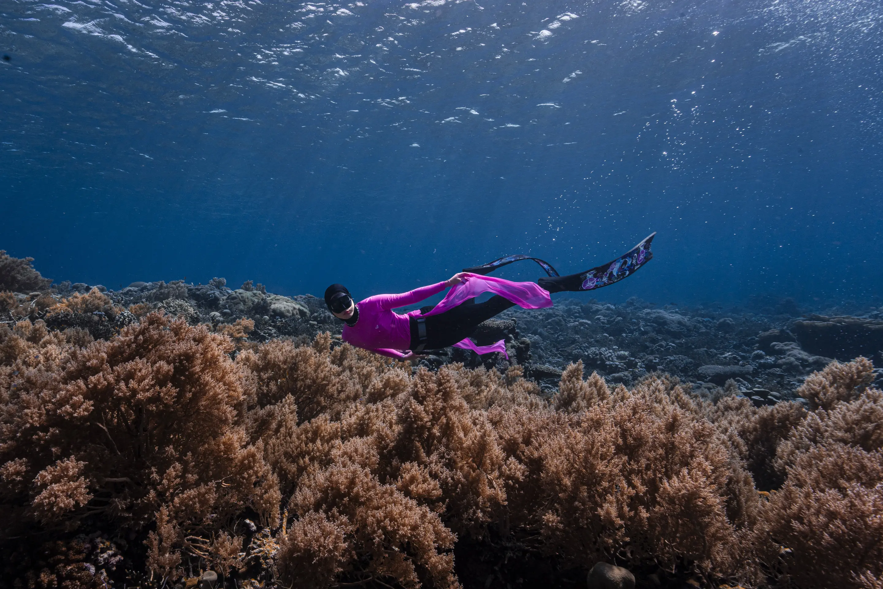 Freediver di perairan jernih