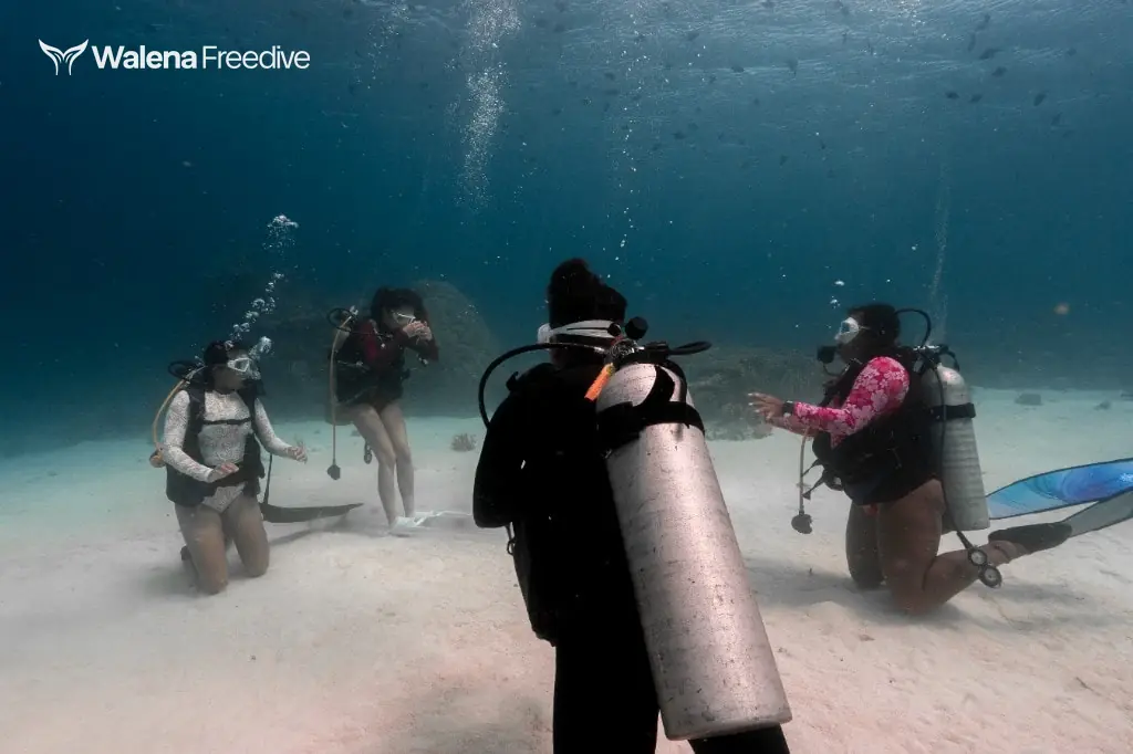 Sesi freediving di kolam dan open water bersama Walena