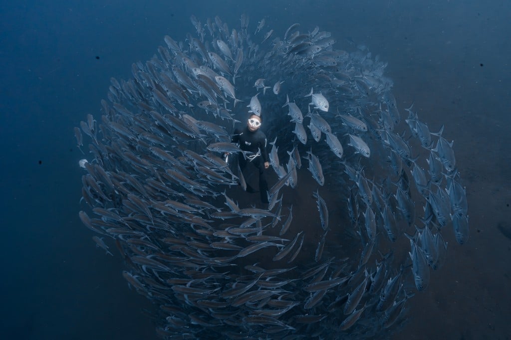 Perfect for · Certified Freedivers
