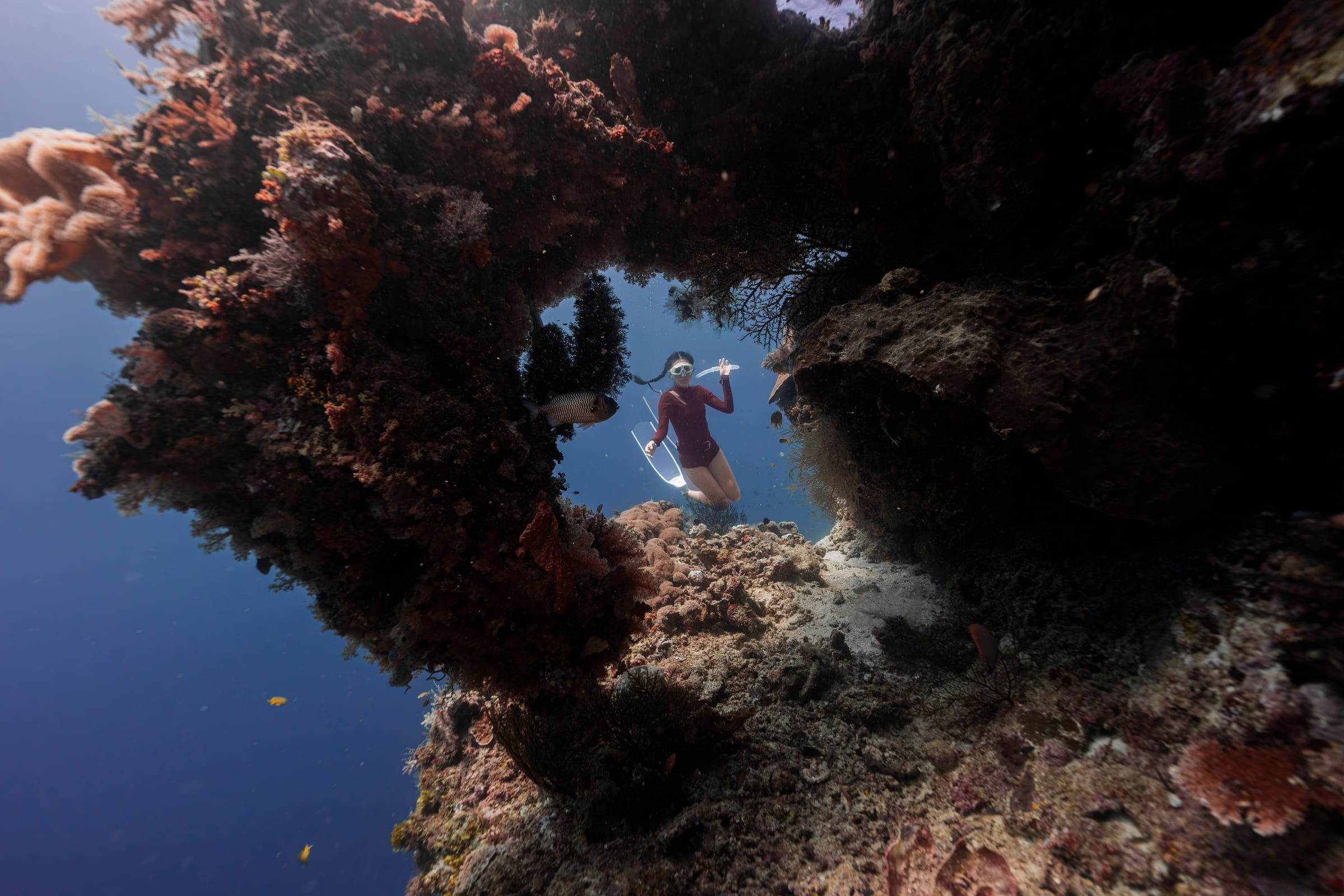 Shark Point · 1