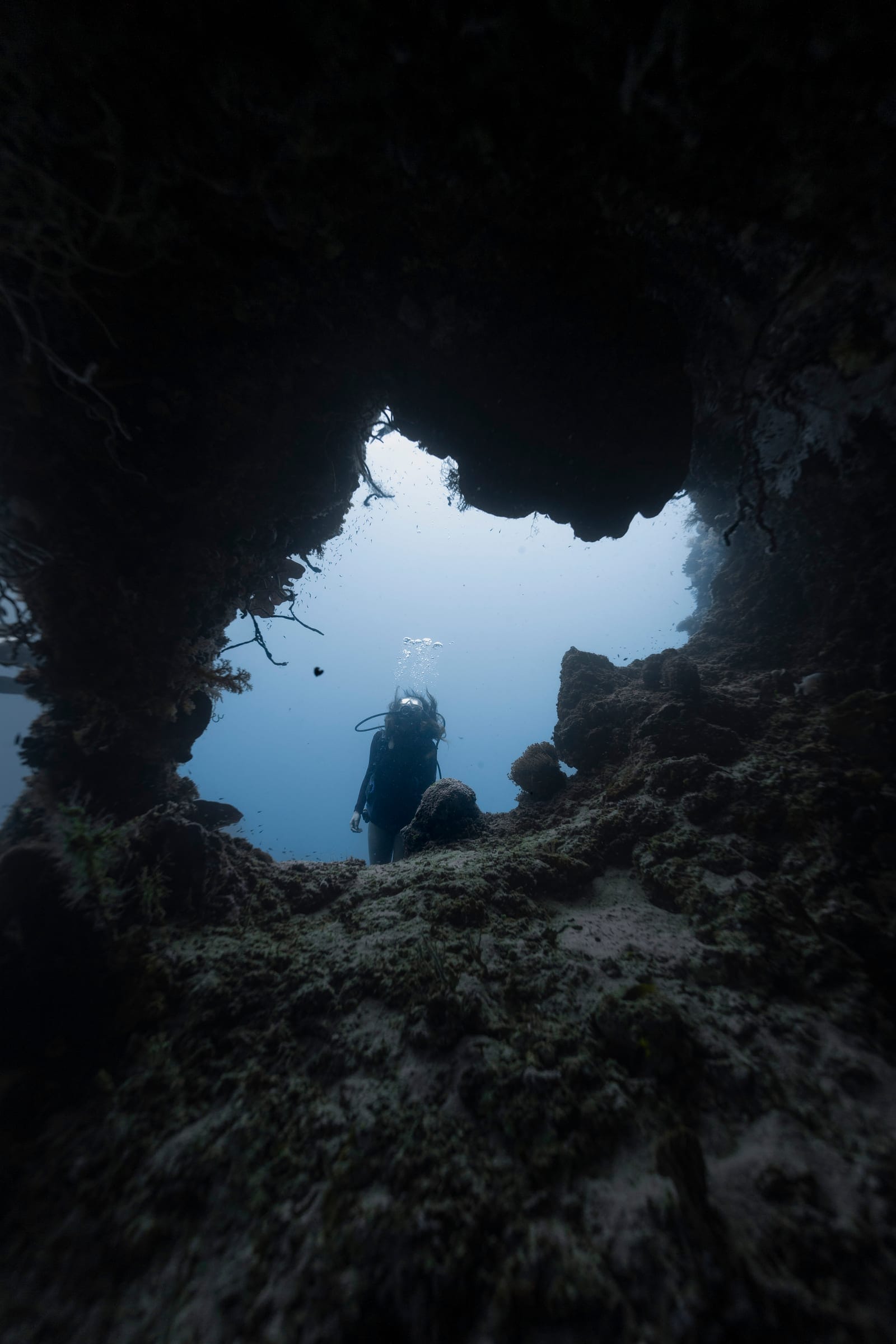 Shark Point · 4