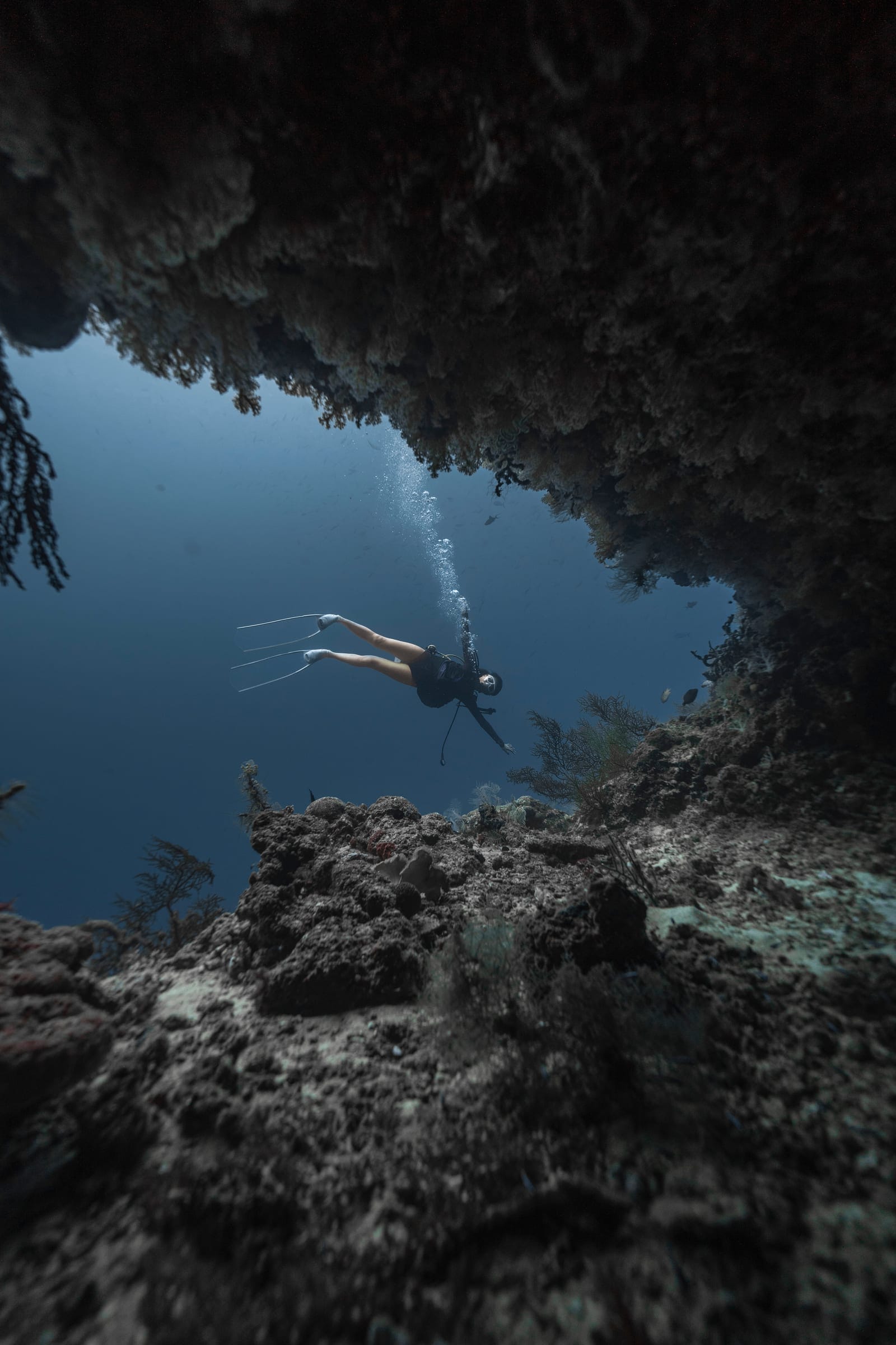 Shark Point · 5